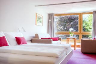 Hotel Kreuz Lenk - 3