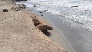 Casa F.U.Camet a 50 mts del mar y 100 mts playa - Barrio Félix U Camet - 5