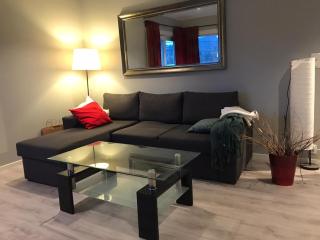 # 1 Mountain View with free street parking - Bergen - 9