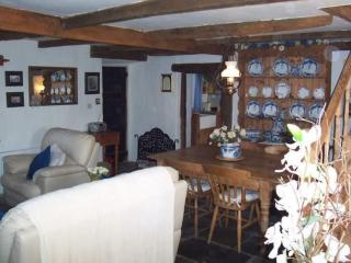 Beautiful 300 year old traditional country cottage - Courtmatrix - 8