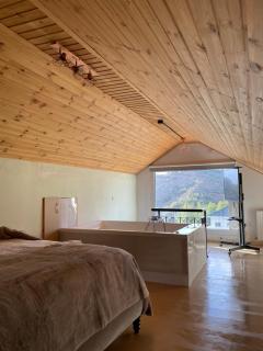 Aprosmeno Jacuzzi House 2 - Agros - 8