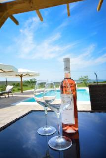Sea View Apartment + Pool, Ljubač, 32 m² - Ljubač - 8