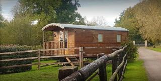 Charmant studio à Villers Sur Mer - 20 m² avec balcon jardin, - 0