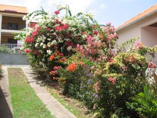 Studio accueillant à Sainte Anne - 30 m² - Vue montagne - 4