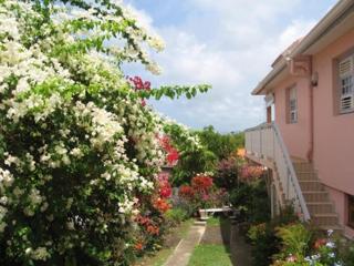 Studio accueillant à Sainte Anne - 30 m² - Vue montagne - Sainte-Anne - 2