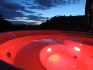 Au Chalet Bain Nordique neuf indépendant calme assuré - Haselbourg - 5
