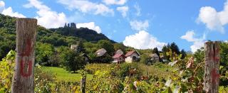 Szent Márton Vendégház - Doba - 7