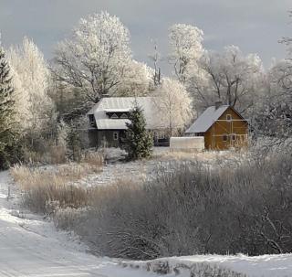 Hommik House - 9