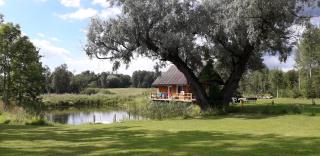 Hommik House - 6