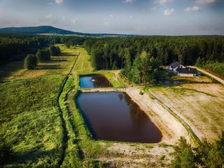 Komfortowy Leśny Dworek - 7