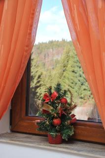 Apartmani Pavlović - 4