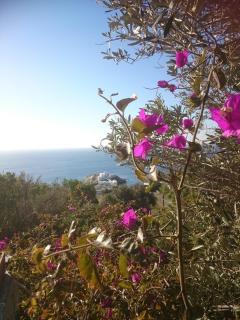 Stunning House in Sifnos Island Chrisopigi - Chrisopigi - 3