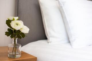 Super King Lodge-Sleeps 2-HotTub-Sea View - Langbank - 2