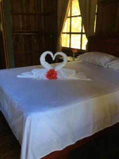 Hidden Paradise Lodge - Drake - 2