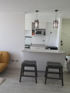 AMUNATEGUI 213 Centro Iquique Ejecutivos - 5