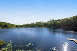 Wild Forest - Harshaw - 8