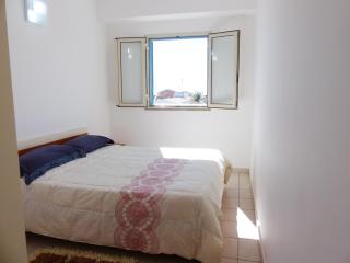 siciliacasevacanze - Ulivi - 2