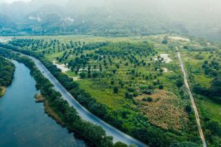 Trang An Freedom Hood - Ninh Binh - 2