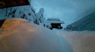 Pension Fürhapter mit Bio- Bauernhof - 8