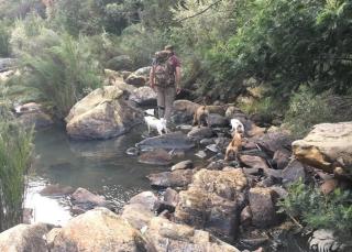Eagle Falls Country Lodge & Adventures - Buffelsdrif - 3