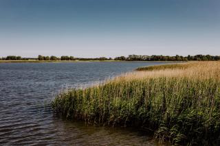 PORT PUDDEMIN Wohnungen an der Marina - Puddemin - 9