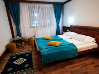 Vila Romanitza - Dărmăneşti - 6