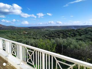 Villa Helen's Olive Garden - 4