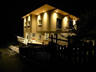 Cozy mountain view apartment with terrace and garden - 3