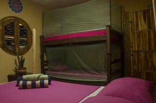 Hostal Corazón de Tagua - 1