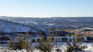 Le Chêne d´Azrou - 5