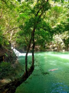 Tower Studio in the Treetops in Altos del Maria Panama - El Picacho - 4