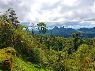 Tower Studio in the Treetops in Altos del Maria Panama - El Picacho - 1