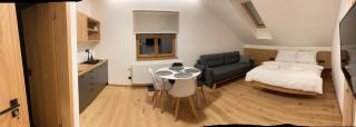 Apartmány Hacienda Boží Dar - Boží Dar - 6