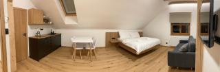 Apartmány Hacienda Boží Dar - Boží Dar - 9