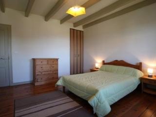 Gîte restauré avec grand terrain clos, salle de jeux, proche du Puy en Velay et Chavaniac-Lafayette - FR-1-582-297 - Jax - 6