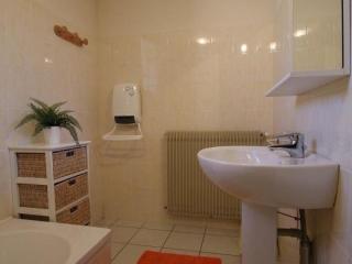 Gîte restauré avec grand terrain clos, salle de jeux, proche du Puy en Velay et Chavaniac-Lafayette - FR-1-582-297 - Jax - 1