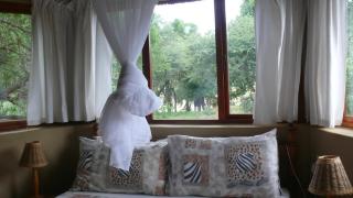 Baluleni Safari Lodge - Grietjie Nature Reserve - 3