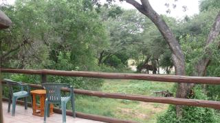 Baluleni Safari Lodge - 2