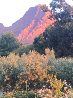 Longfield House - Stellenbosch - 9