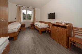 Hotel Panský dům - Blovice - 9