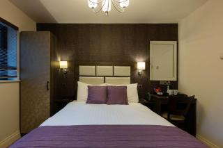 The White Swan - Scotter - 2