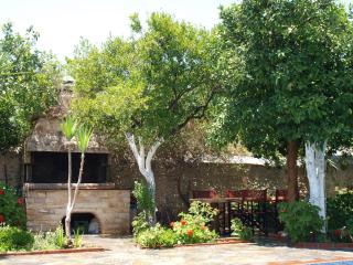 Εlegant Villa Liakos - Pigi - 9