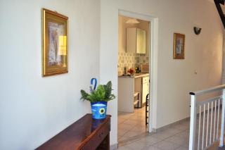 Kuris Studios & Apartments - Vasilikos - 1