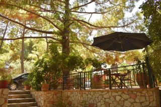 Kuris Studios & Apartments - Vasilikos - 6