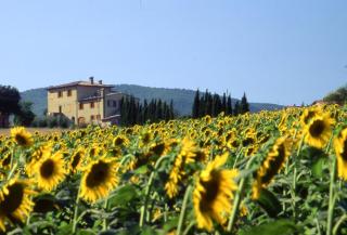 Agriturismo Palazzo Bandino - Wine cellar, on reservation restaurant and spa - Chianciano Terme - 2