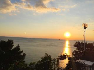 Charming Apartment in Novigrad, 45 sqm, with Terrace - Novigrad - 8