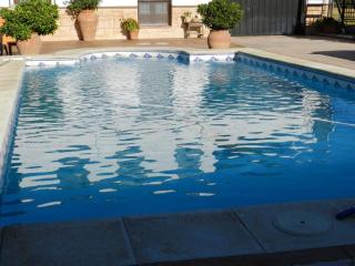 Elegant villa in Padul with private pool - El Padul - 2