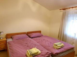 Modern Apartment with Garden View in Belišće - 76 m² - Belišće - 3