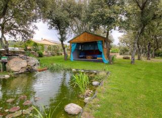 Studio accueillant à Moltifao 30 m² avec terrasse et jardin - Moltifao - 3