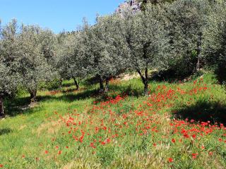 Charmante maison de vacances à La Roche-sur-le-Buis avec piscine - 5